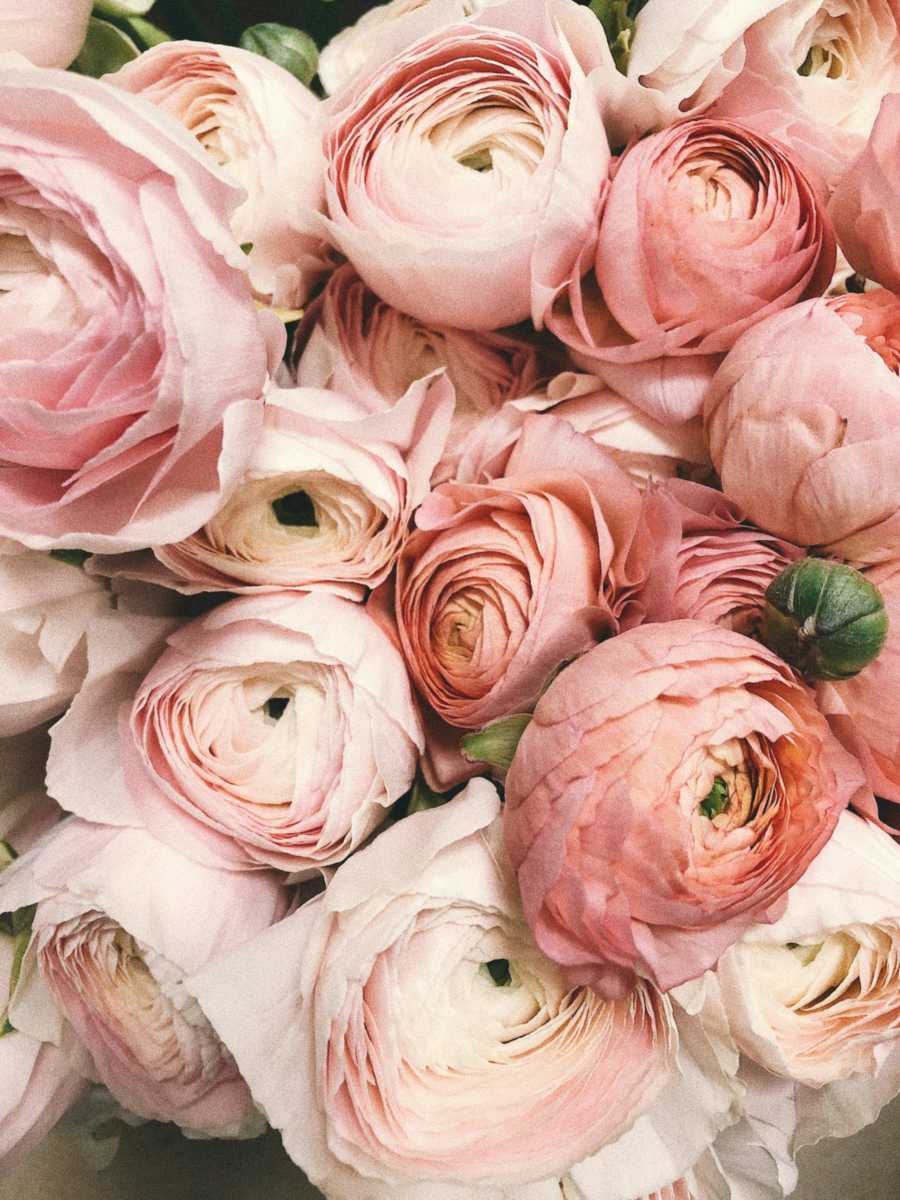 Beautiful flowers in Spain